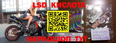 эйфоретик Донской