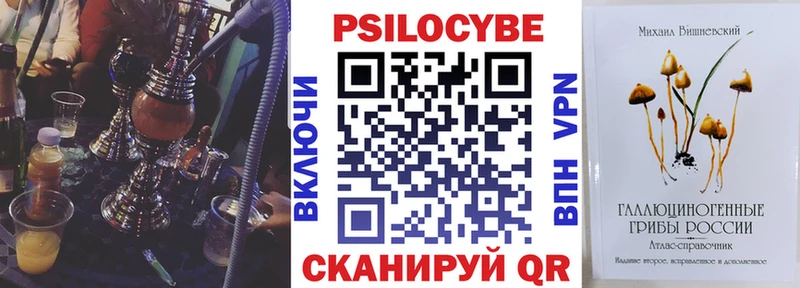 хочу наркоту  МЕГА маркетплейс  Псилоцибиновые грибы GOLDEN TEACHER  Новокубанск 