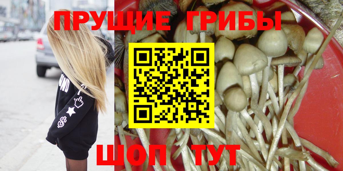 Новокубанск  Галлюциногенные грибы мицелий  Вход с VPN 