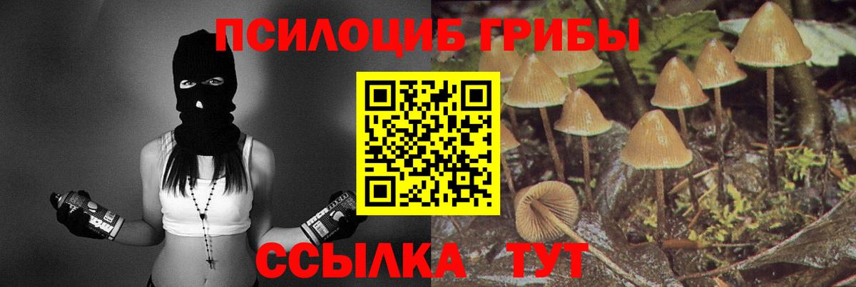 Галлюциногенные грибы Psilocybe  Псилоцибиновые грибы ЛСД  Новокубанск 