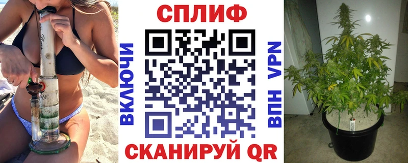 где купить наркоту  Новокубанск  Конопля VHQ 